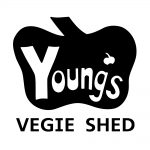 Youngs Vegie Shed
